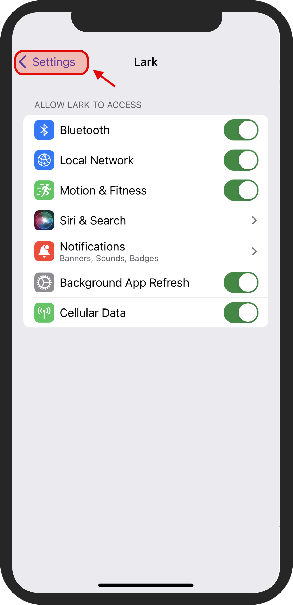 Apple_Health.png